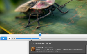 Cage commentaire video