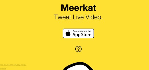 Meerkat